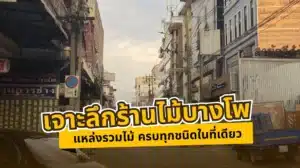 เจาะลึกร้านไม้บางโพ แหล่งรวมไม้ ครบทุกชนิดในที่เดียว