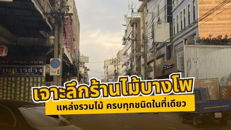 เจาะลึกร้านไม้บางโพ แหล่งรวมไม้ ครบทุกชนิดในที่เดียว