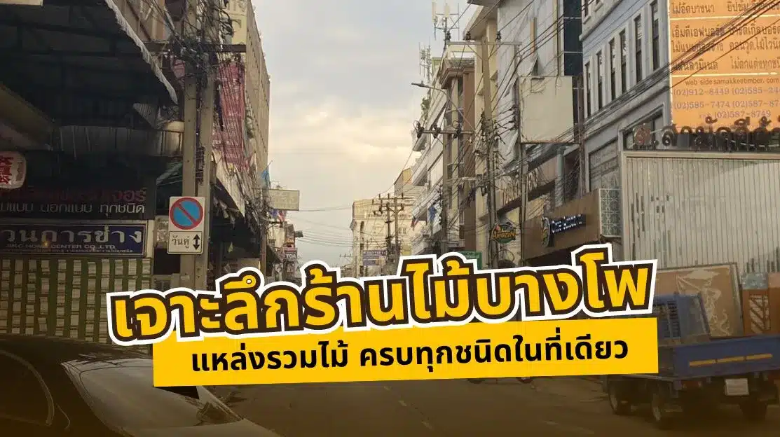 เจาะลึกร้านไม้บางโพ แหล่งรวมไม้ ครบทุกชนิดในที่เดียว