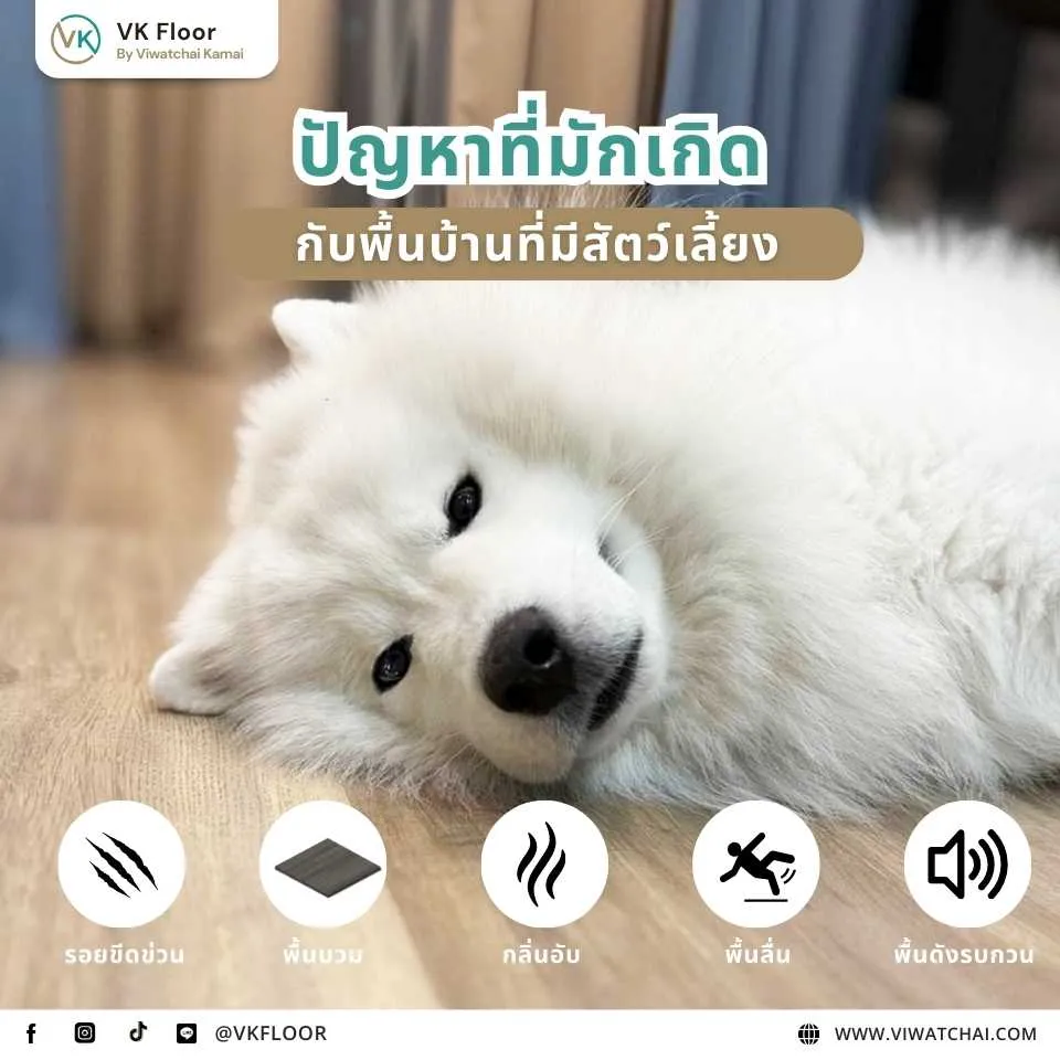 ปัญหาที่มักเกิดกับพื้นบ้านที่มีสัตว์เลี้ยง พื้นไม้สำหรับสัตว์เลี้ยงควรรู้อะไรบ้าง