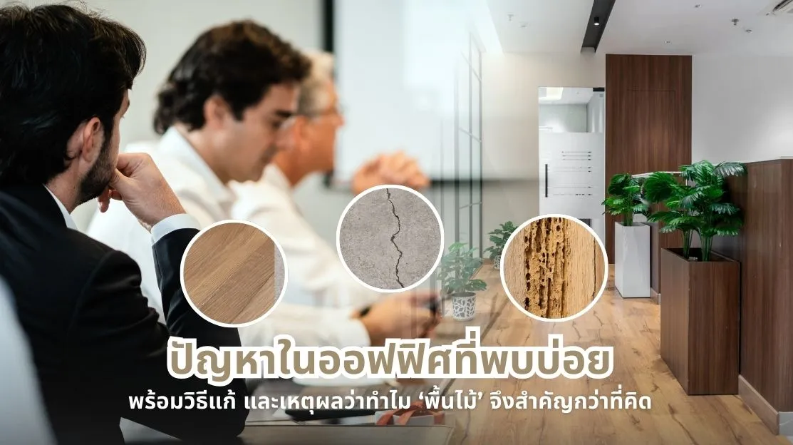 ปัญหาในออฟฟิศที่พบได้บ่อย พร้อมวิธีแก้ไข และเหตุผลที่พื้นไม้มีบทบาทสำคัญต่อบรรยากาศการทำงาน