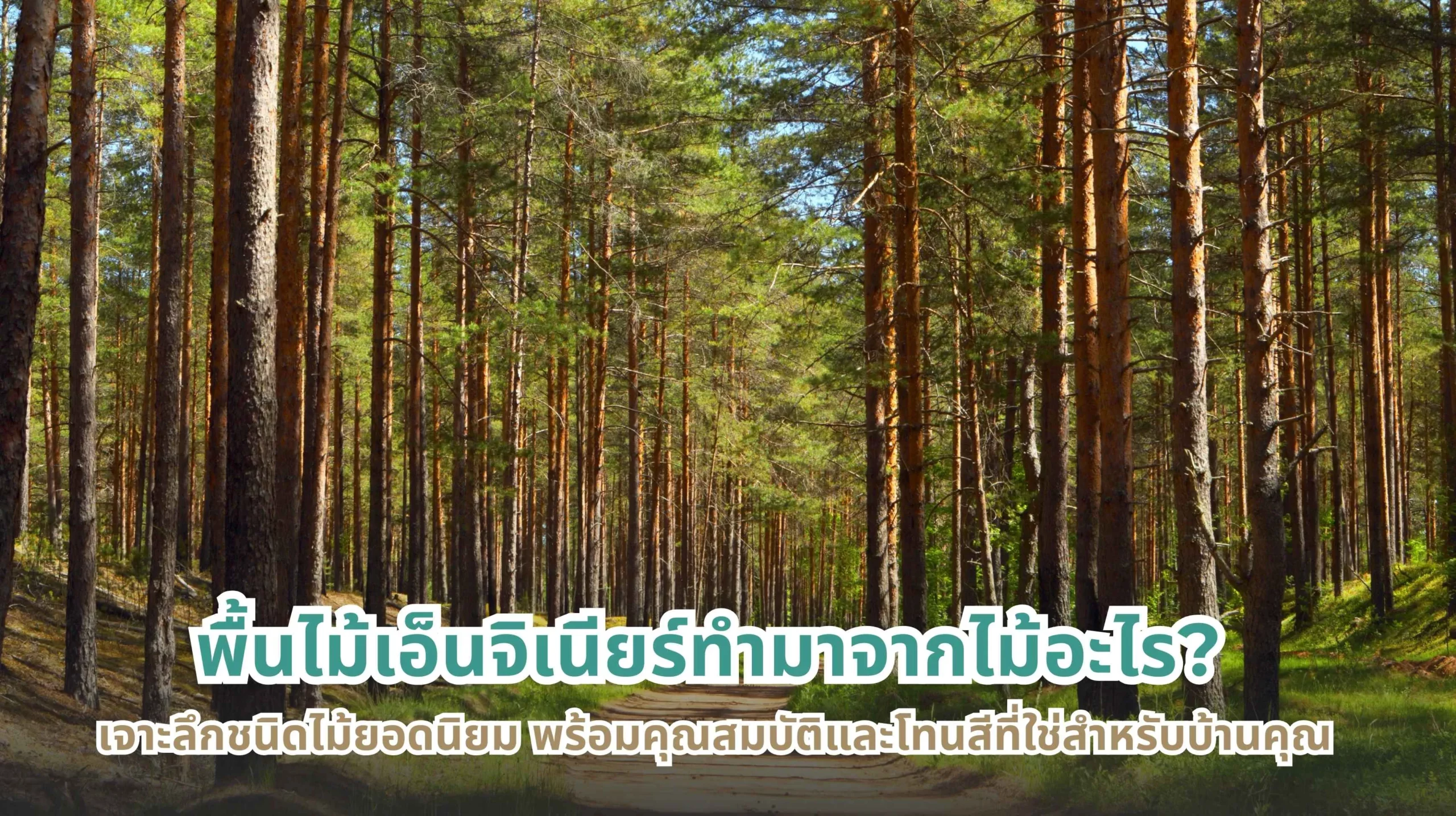 พื้นไม้เอ็นจิเนียร์ทำมาจากไม้อะไร ชนิดไม้ยอดนิยมและโทนสีที่เหมาะกับบ้านของคุณ