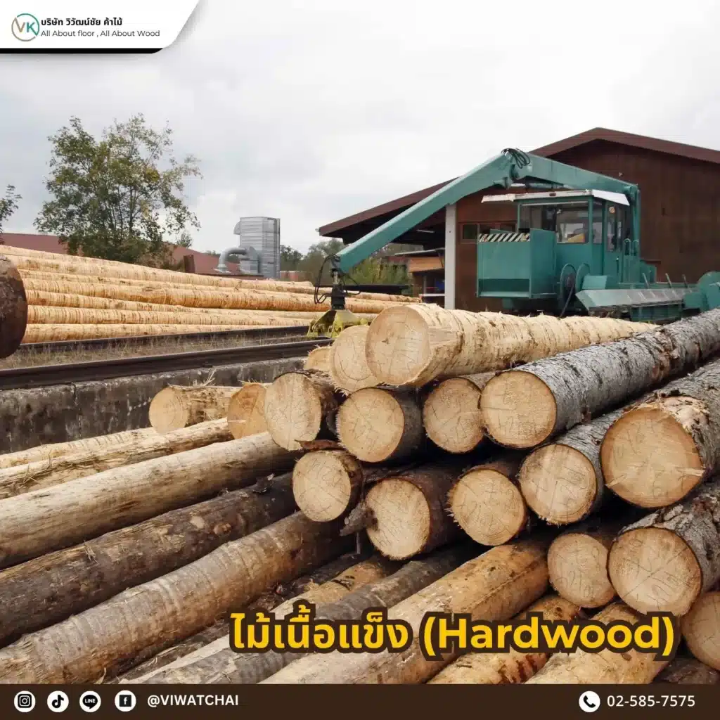 ไม้เนื้อแข็ง (Hardwood) รวมไม้เนื้อแข็งยอดนิยมจากบางโพ