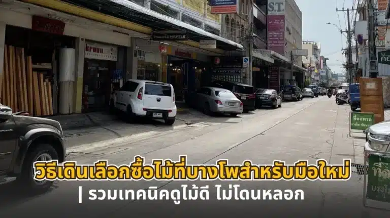 วิธีเดินเลือกซื้อไม้ที่บางโพสำหรับมือใหม่ รวมเทคนิคดูไม้ดี ไม่โดนหลอก