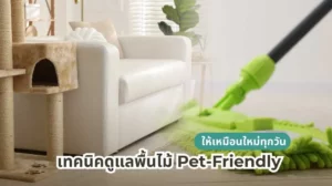 เทคนิคดูแลพื้นไม้สำหรับสัตว์เลี้ยง Pet-Friendly ให้พื้นสวยเหมือนใหม่ทุกวัน