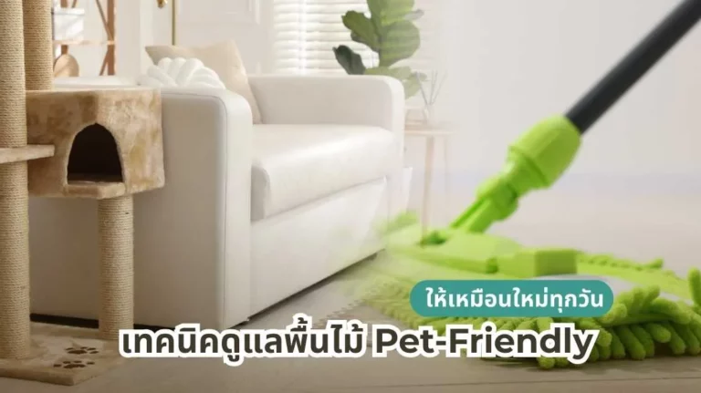 เทคนิคดูแลพื้นไม้สำหรับสัตว์เลี้ยง Pet-Friendly ให้พื้นสวยเหมือนใหม่ทุกวัน