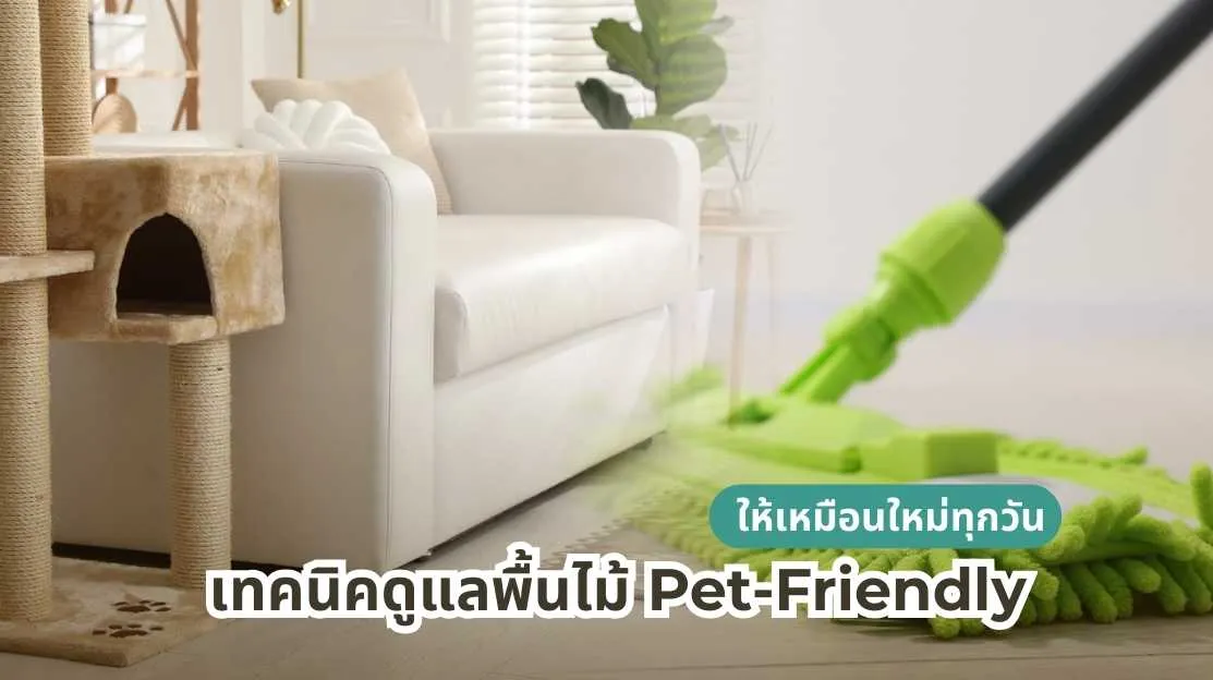 เทคนิคดูแลพื้นไม้สำหรับสัตว์เลี้ยง Pet-Friendly ให้พื้นสวยเหมือนใหม่ทุกวัน