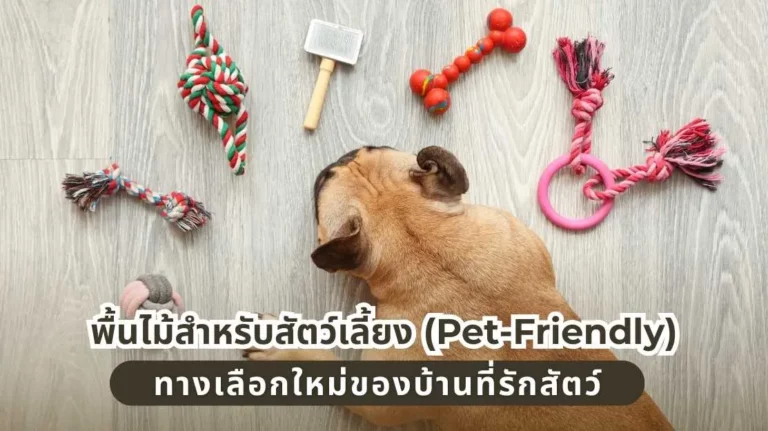พื้นไม้สำหรับสัตว์เลี้ยง Pet-Friendly ตัวเลือกพื้นไม้ที่เหมาะกับบ้านที่รักสัตว์เลี้ยง