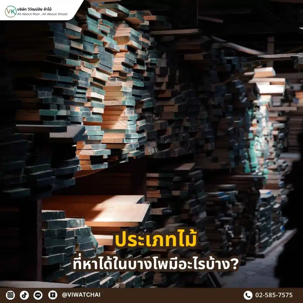 ประเภทไม้ที่หาได้ในบางโพ มีอะไรบ้าง