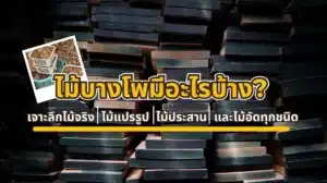 ไม้บางโพมีอะไรบ้าง เจาะลึกไม้จริง ไม้แปรรูป ไม้ประสาน และไม้อัดทุกชนิด