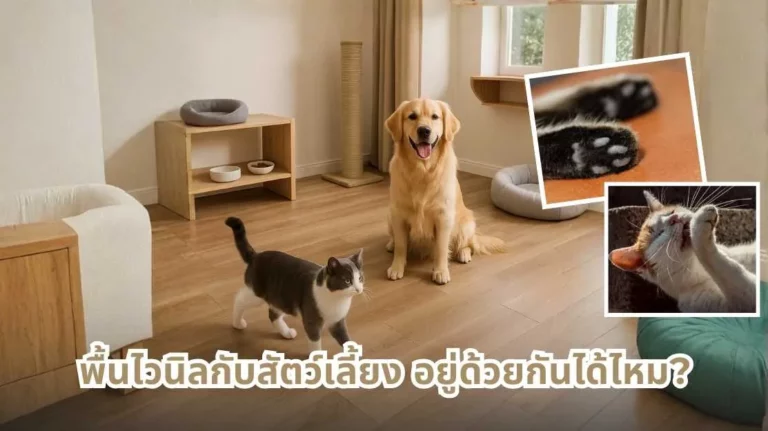 พื้นไวนิลกับสัตว์เลี้ยง อยู่ด้วยกันได้ไหม ทดสอบจริงเรื่องรอย ขน น้ำ และกลิ่นในบ้านที่มีหมาและแมว