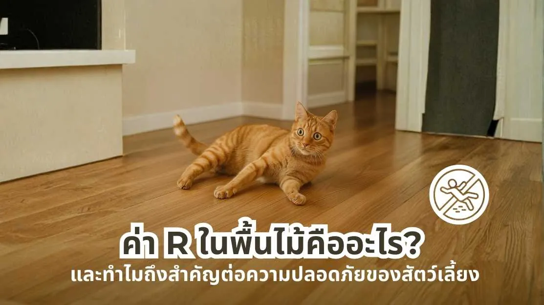 ค่า R ของพื้นไม้คืออะไร และสำคัญอย่างไรต่อพื้นไม้สำหรับสัตว์เลี้ยง