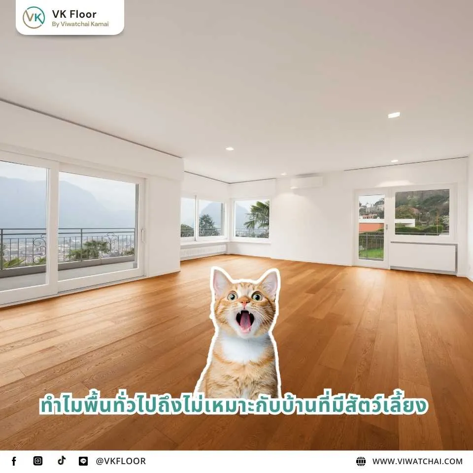 ทำไมพื้นทั่วไปถึงไม่เหมาะกับบ้านที่มีสัตว์เลี้ยง