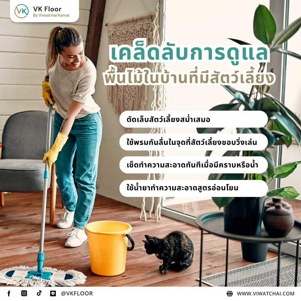 เคล็ดลับการดูแลพื้นไม้สำหรับสัตว์เลี้ยงในบ้าน ให้พื้นสวยและทนใช้งาน