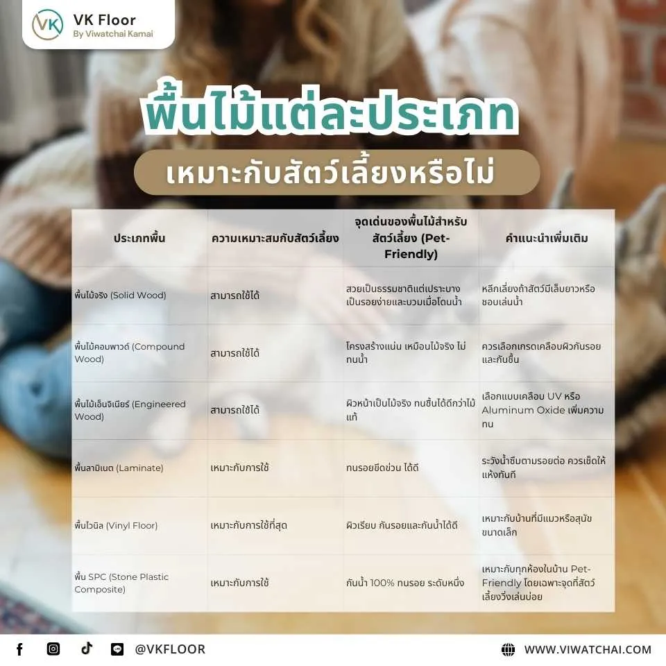 พื้นไม้สำหรับสัตว์เลี้ยง พื้นไม้แต่ละประเภทเหมาะหรือไม่