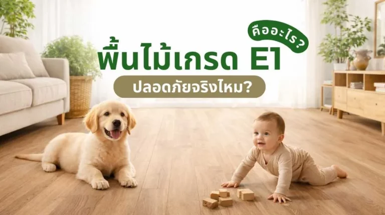 ภาพอธิบายพื้นไม้เกรด E1 คืออะไร ปลอดภัยจริงไหม พร้อมตัวอย่างพื้นไม้ภายในบ้านที่ได้มาตรฐาน