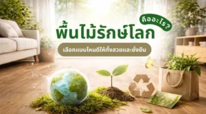 ภาพอธิบายพื้นไม้รักษ์โลก คืออะไร พร้อมตัวอย่างพื้นไม้ภายในบ้านที่เน้นความยั่งยืน