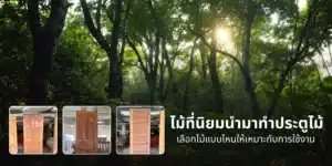 ลักษณะเนื้อไม้เบญจพรรณที่ใช้ทำประตูไม้ แสดงความแตกต่างของสีและลายไม้ซึ่งมีผลต่อความแข็งแรงและอายุการใช้งานของประตูไม้