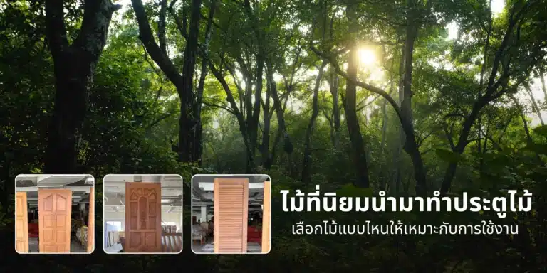 ลักษณะเนื้อไม้เบญจพรรณที่ใช้ทำประตูไม้ แสดงความแตกต่างของสีและลายไม้ซึ่งมีผลต่อความแข็งแรงและอายุการใช้งานของประตูไม้