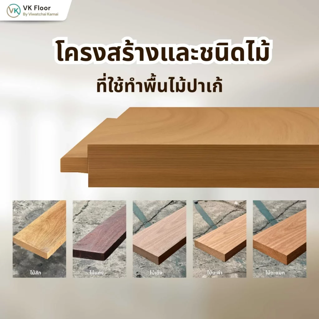 โครงสร้างและชนิดไม้ที่ใช้ทำพื้นไม้ปาเก้ พร้อมรายละเอียดชั้นไม้และประเภทไม้เนื้อแข็ง
