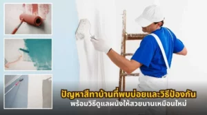ปัญหาสีทาบ้านที่พบบ่อย พร้อมวิธีป้องกันและวิธีดูแลผนังให้สวยนานเหมือนใหม่