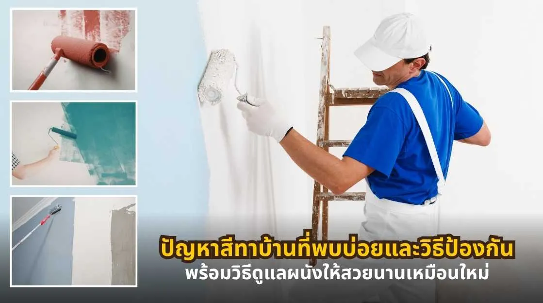 ปัญหาสีทาบ้านที่พบบ่อย พร้อมวิธีป้องกันและวิธีดูแลผนังให้สวยนานเหมือนใหม่