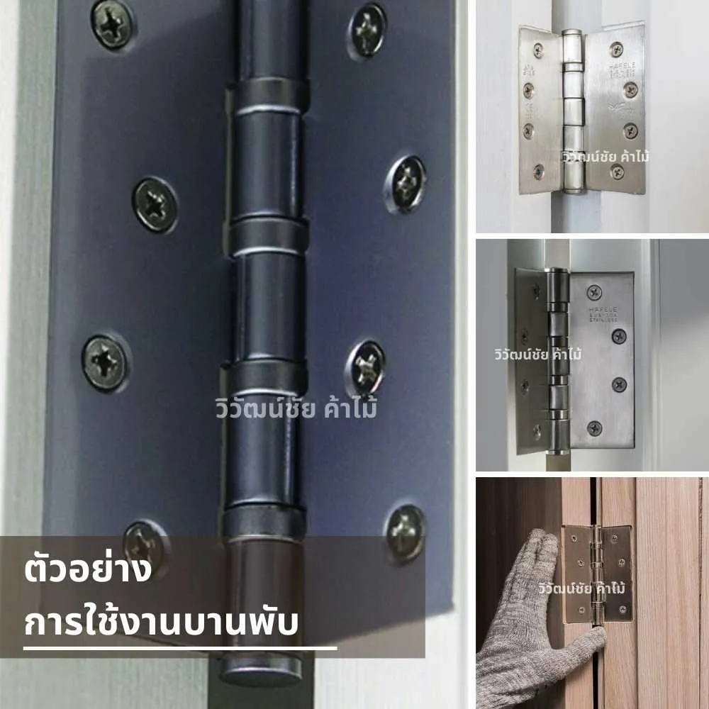 รายละเอียดสินค้า HAFELE บานพับผีเสื้อสแตนเลส สำหรับติดตั้งประตูไม้และบานตู้เฟอร์นิเจอร์