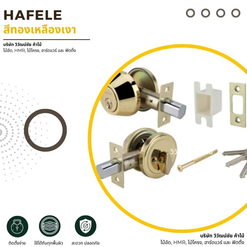 HAFELE กุญแจลิ้นตายสแตนเลสสตีล รุ่นมาตรฐาน แบบ A กุญแจลิ้นตายหางปลาบิด สีทองเหลืองเงา