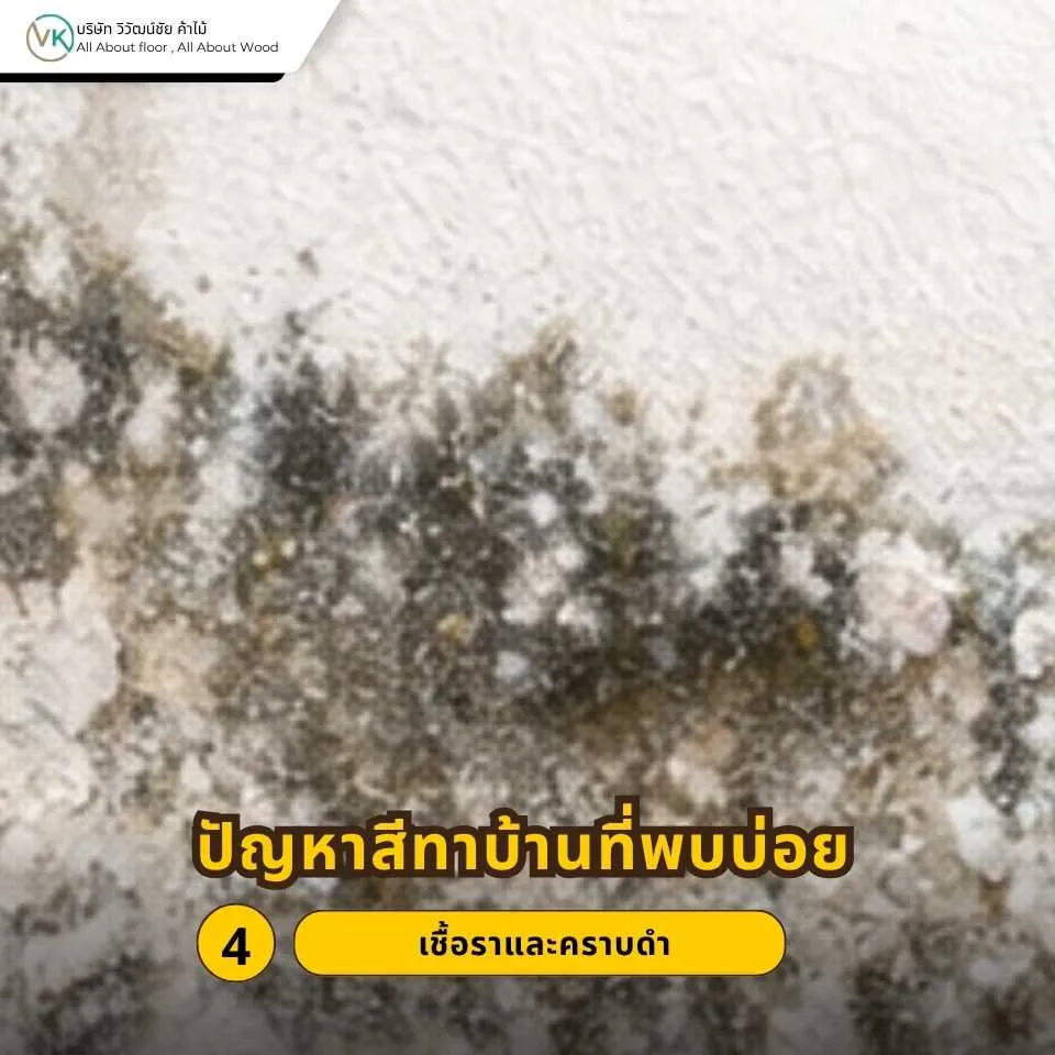 เชื้อราและคราบดำบนผนังทาสีบ้านที่เกิดจากความชื้นและการระบายอากาศไม่ดี