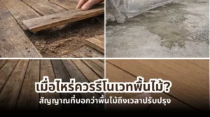 เมื่อไหร่ควรรีโนเวทพื้นไม้ สัญญาณที่บอกว่าพื้นไม้ถึงเวลาปรับปรุง