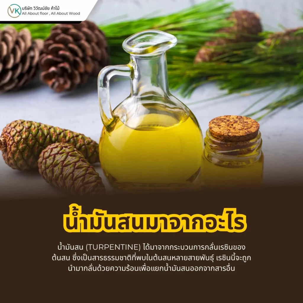 น้ำมันสนมาจากอะไร กระบวนการสกัดน้ำมันสนจากยางไม้สน