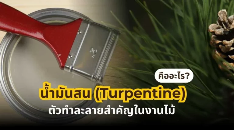 น้ำมันสน (Turpentine) คืออะไร ตัวทำละลายสำคัญในงานไม้และงานเคลือบผิวไม้
