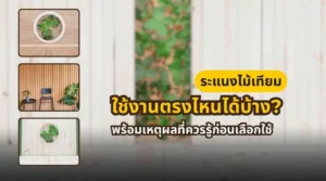 ภาพหน้าปกบทความเกี่ยวกับการใช้ระแนงไม้เทียมในงานภายนอกและภายในบ้าน เช่น ฟาซาด ผนังตกแต่ง และฉากกั้น