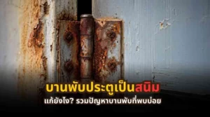 รวมปัญหาบานพับประตู เช่น สนิม เสียงดัง ประตูฝืด และบานตก