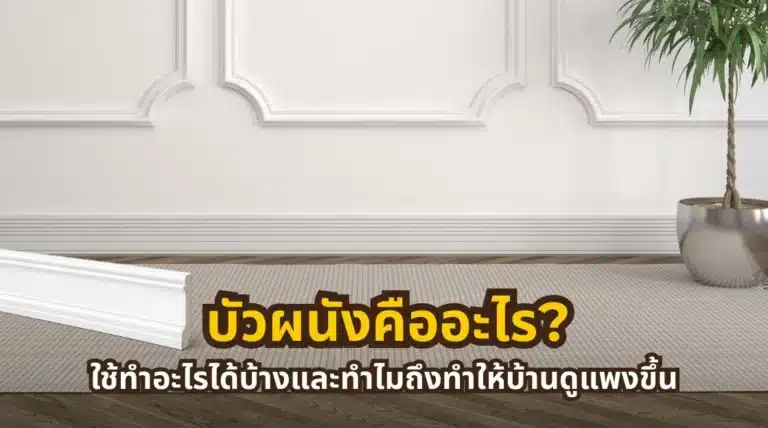 บัวผนังคืออะไร ใช้ทำอะไร และช่วยเพิ่มความหรูหราให้บ้านได้อย่างไร