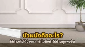 ภาพหน้าปกบทความเกี่ยวกับบัวผนังสำหรับตกแต่งบ้าน เพิ่มมิติให้ผนังภายในดูเรียบหรูและมีดีไซน์มากขึ้น