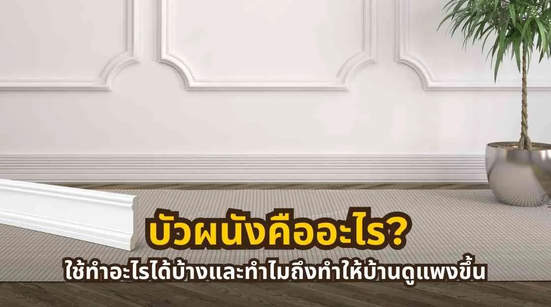 ภาพหน้าปกบทความเกี่ยวกับบัวผนังสำหรับตกแต่งบ้าน เพิ่มมิติให้ผนังภายในดูเรียบหรูและมีดีไซน์มากขึ้น