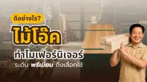 ข้อดีไม้โอ๊ค ไม้จริงลายสวย แข็งแรง เหมาะสำหรับงานเฟอร์นิเจอร์ระดับพรีเมี่ยม
