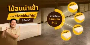 หน้าปกบทความไม้สนนำเข้า จากวิวัฒน์ชัยค้าไม้ พร้อมภาพไม้สน USA หลายขนาด เหมาะกับงานไม้ งานเฟอร์นิเจอร์ และงาน DIY