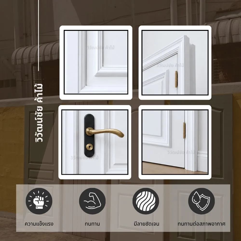 m01-modern-plywood-interior-door-application ตัวอย่างการใช้งานประตูไม้อัดสไตล์โมเดิร์น M01 ภายในบ้าน