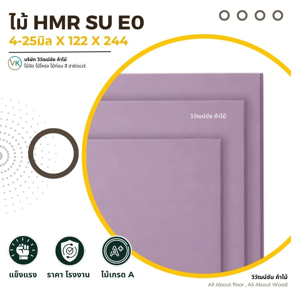 HMR E0 V313