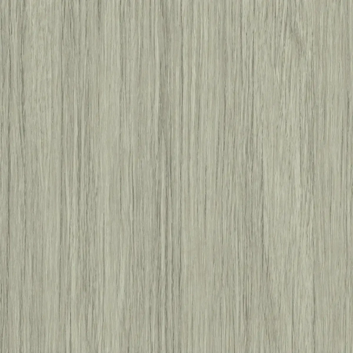 Laminate Sheet Wood Grains TD Board Oak Gray 8298 M ลามิเนตปิดผิวเฟอร์นิเจอร์ลายไม้ TD Board สีเทาอมเขียว รหัส 8298 M ลายเสี้ยนไม้โทนเทา