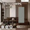 ไม้ระแนง WPC วิวัฒน์ชัยค้าไม้ รุ่น W-015 เทาอ่อน ตัวอย่างการใช้งานผนังตกแต่งภายใน